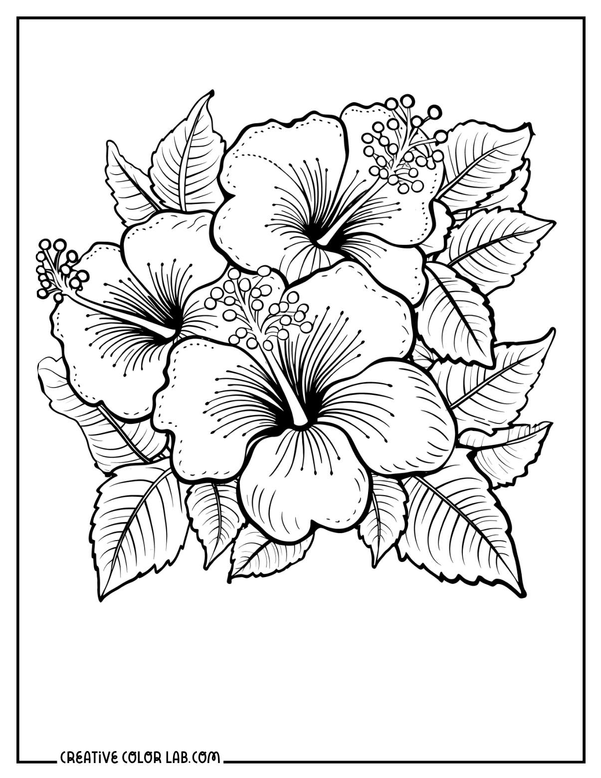 printable flower coloring pages