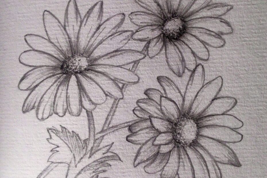 12 Pencil Floral Sketch Ideas Sketches Drawings Pencil Drawings