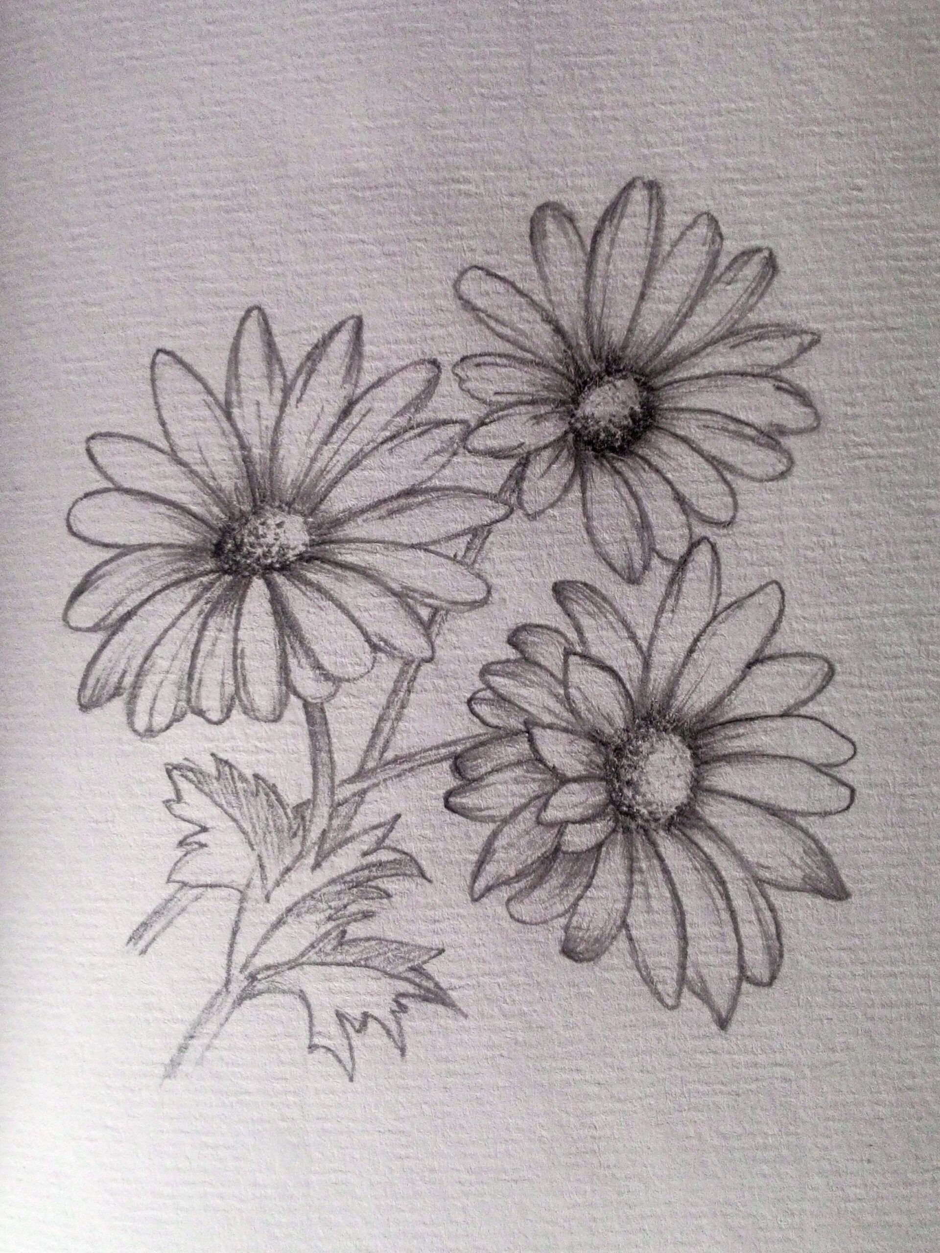 12 Pencil Floral Sketch Ideas Sketches Drawings Pencil Drawings