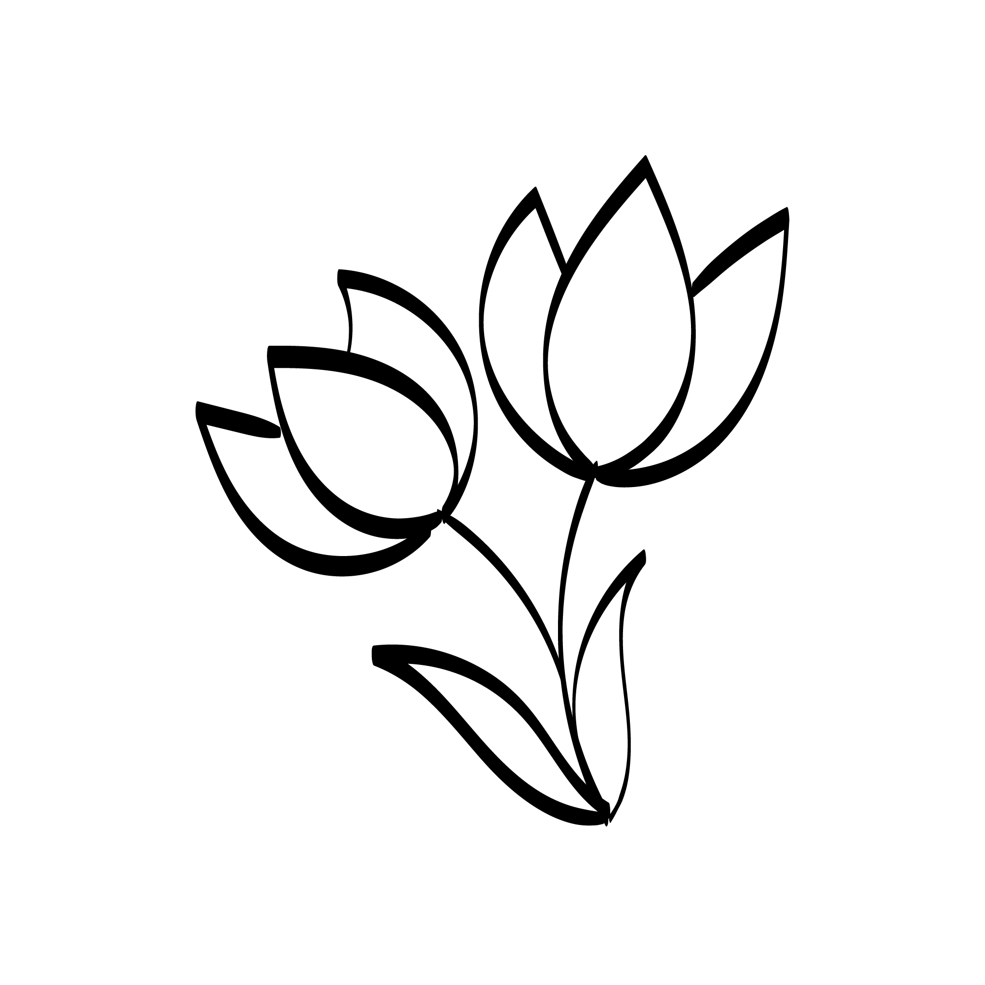 13 Flower Drawing Art With Line art MasterBundles