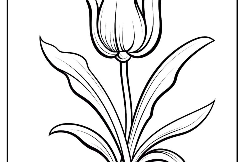 13 Tulip Coloring Pages Free PDF Printables
