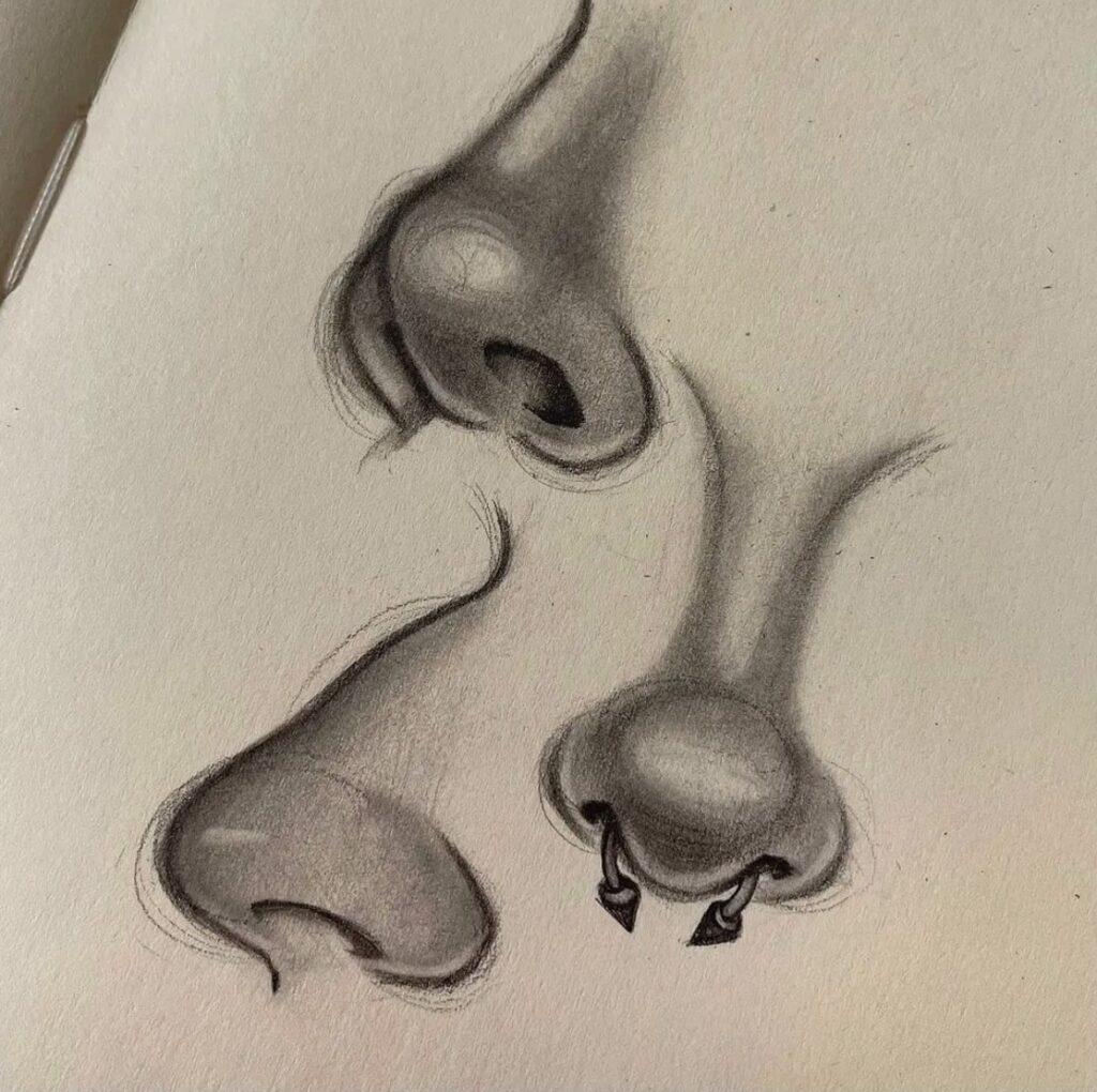 15 Best Nose Sketch Drawing Tutorials For Inspiration Atinydreamer