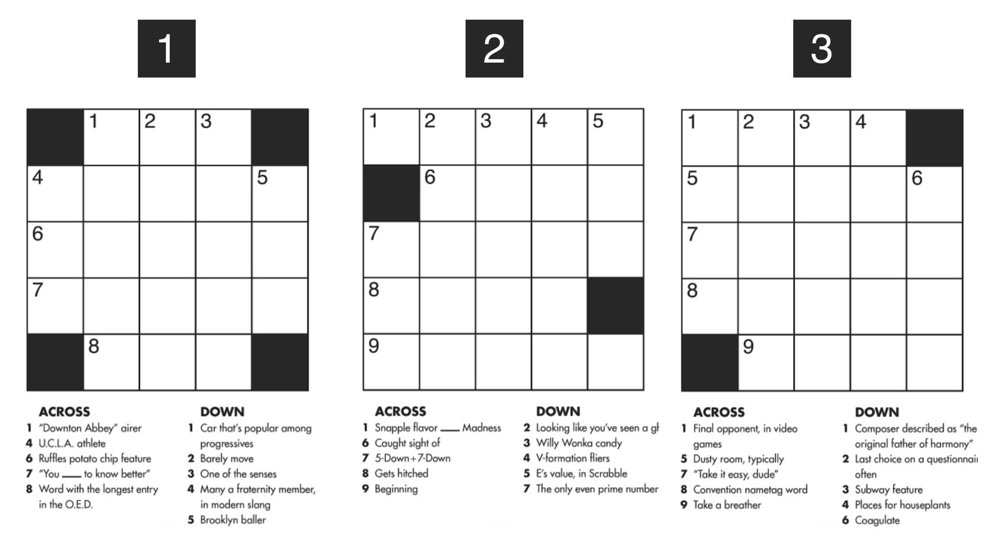 2024 New York Times Crossword Puzzle Book Large print Medium To 