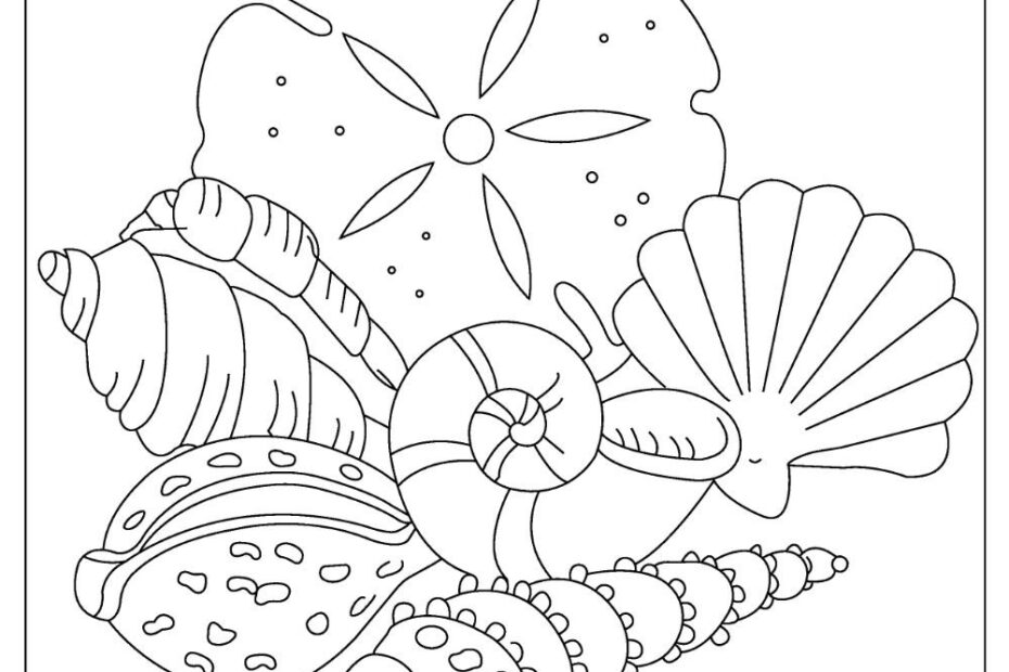 22 Free Shell Coloring Pages For Download Printable PDF