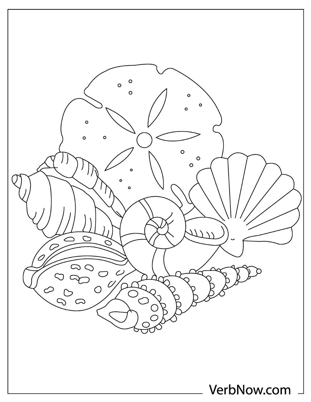 22 Free Shell Coloring Pages For Download Printable PDF 
