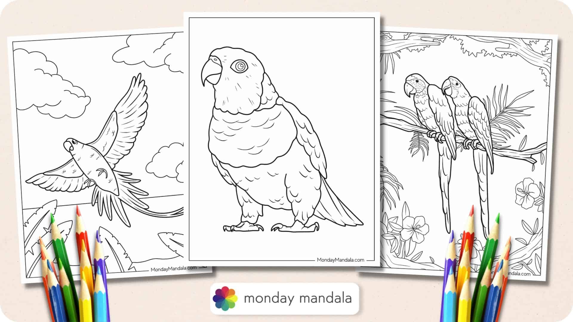 22 Parrot Coloring Pages Free PDF Printables 