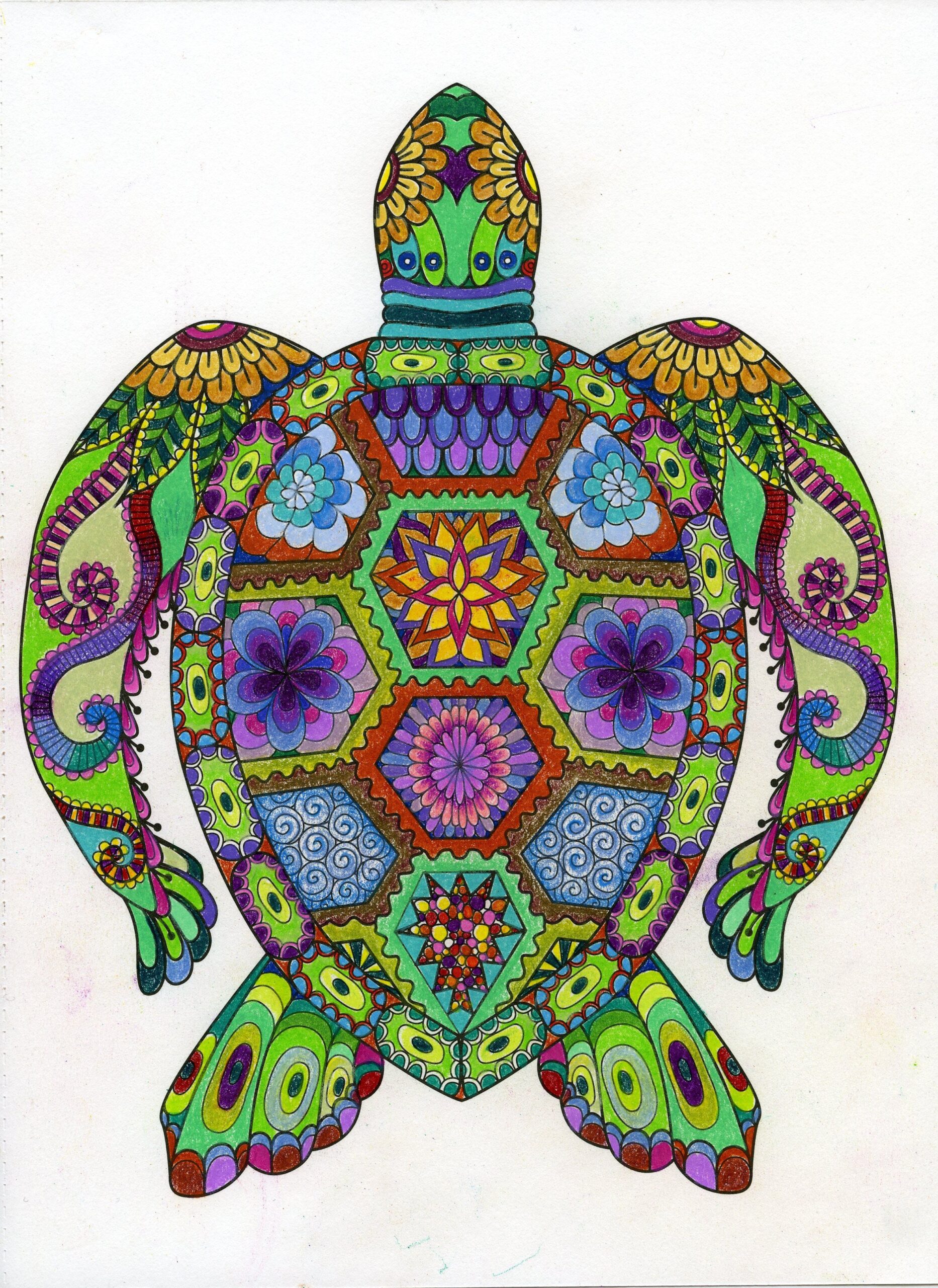 24 Best Mandala Turtle Ideas Turtle Turtle Art Mandala Turtle