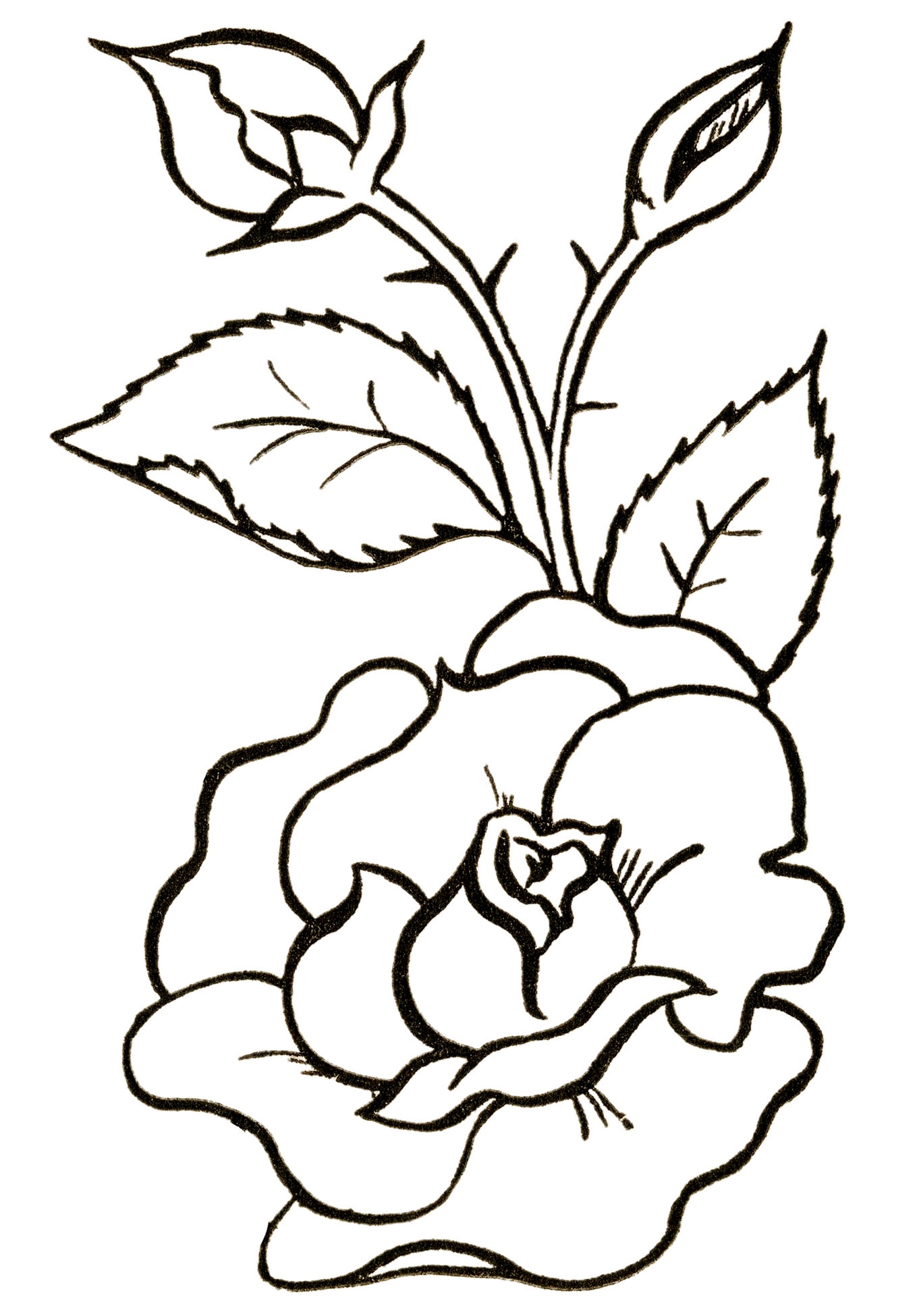 black and white drawing