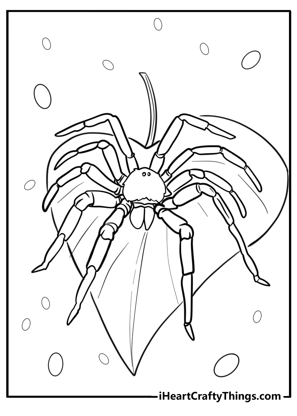 spider coloring sheet pdf