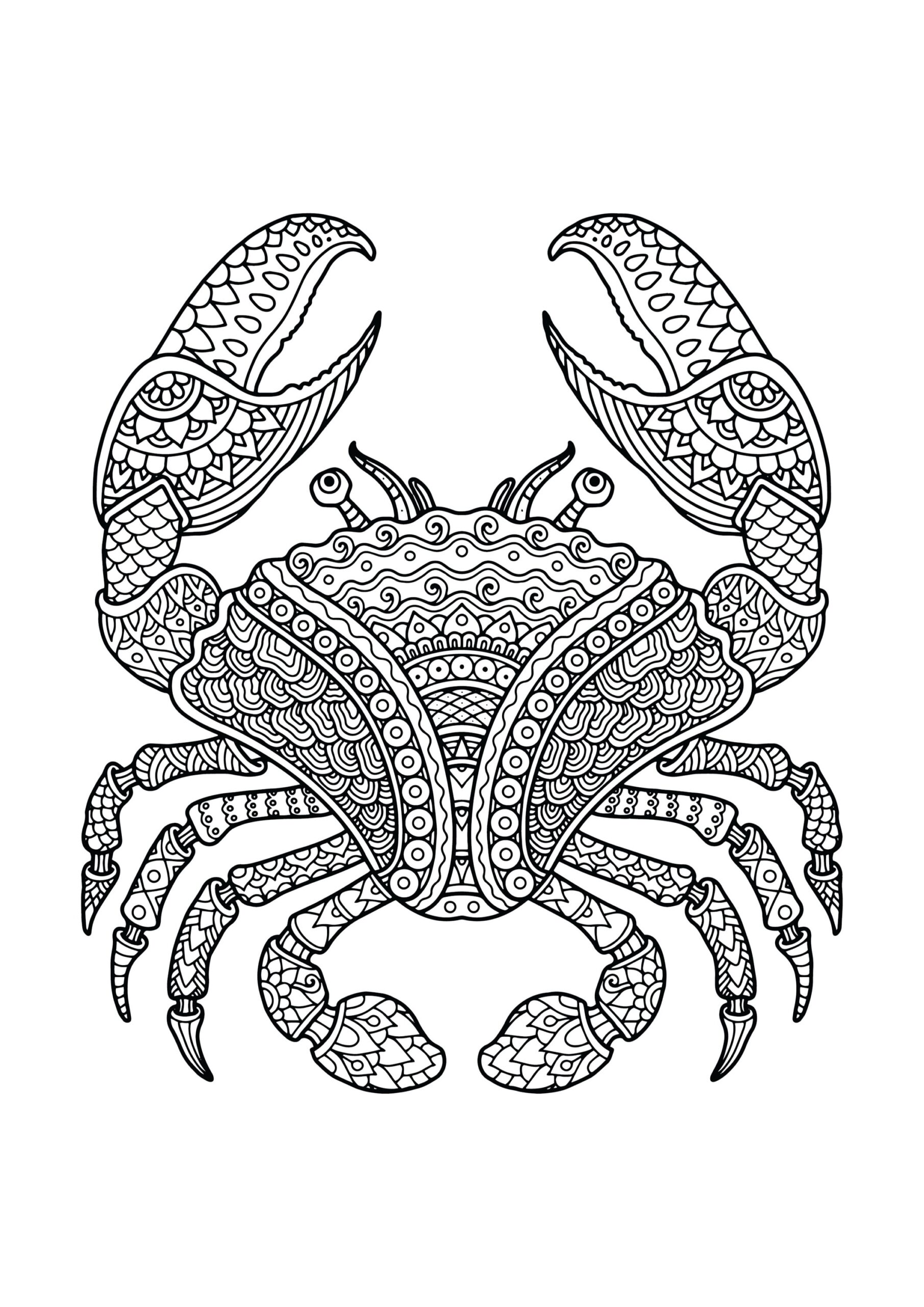 free printable animal mandala coloring pages