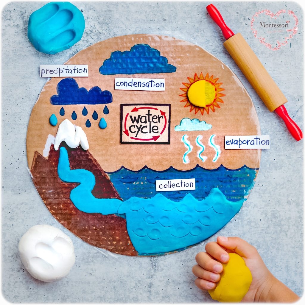 free printable water cycle wheel