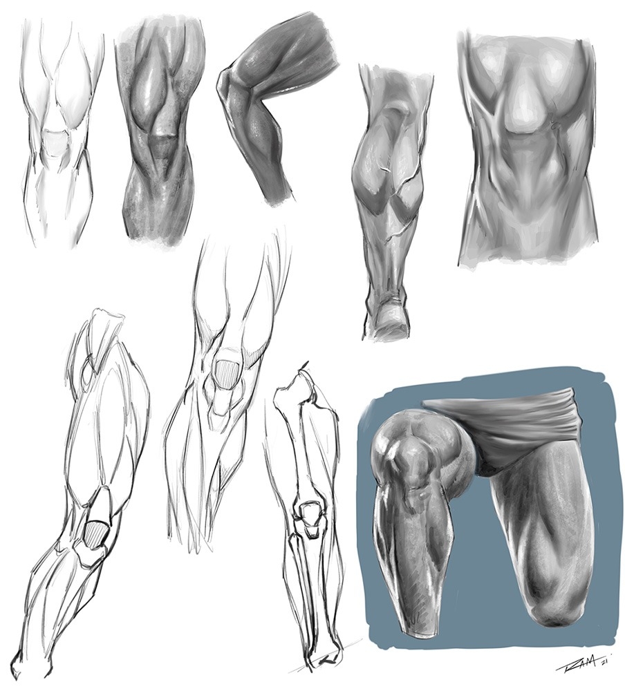legs drawing