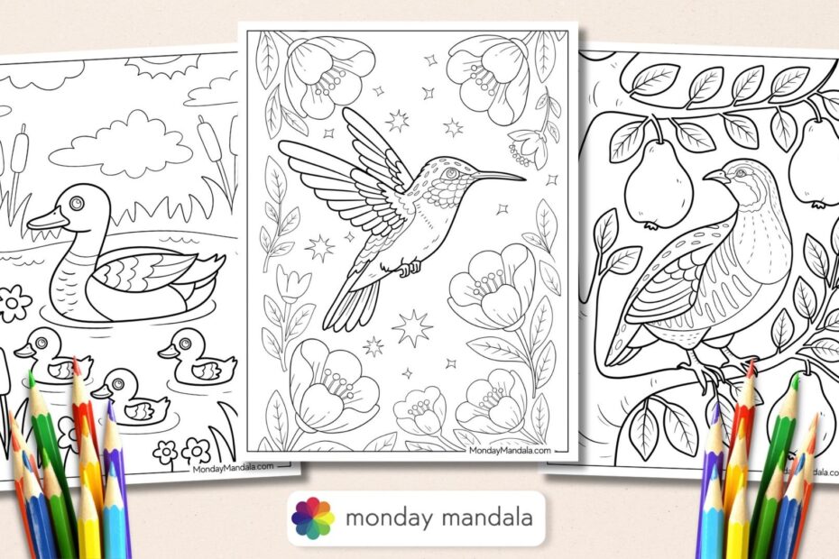 50 Bird Coloring Pages Free PDF Printables