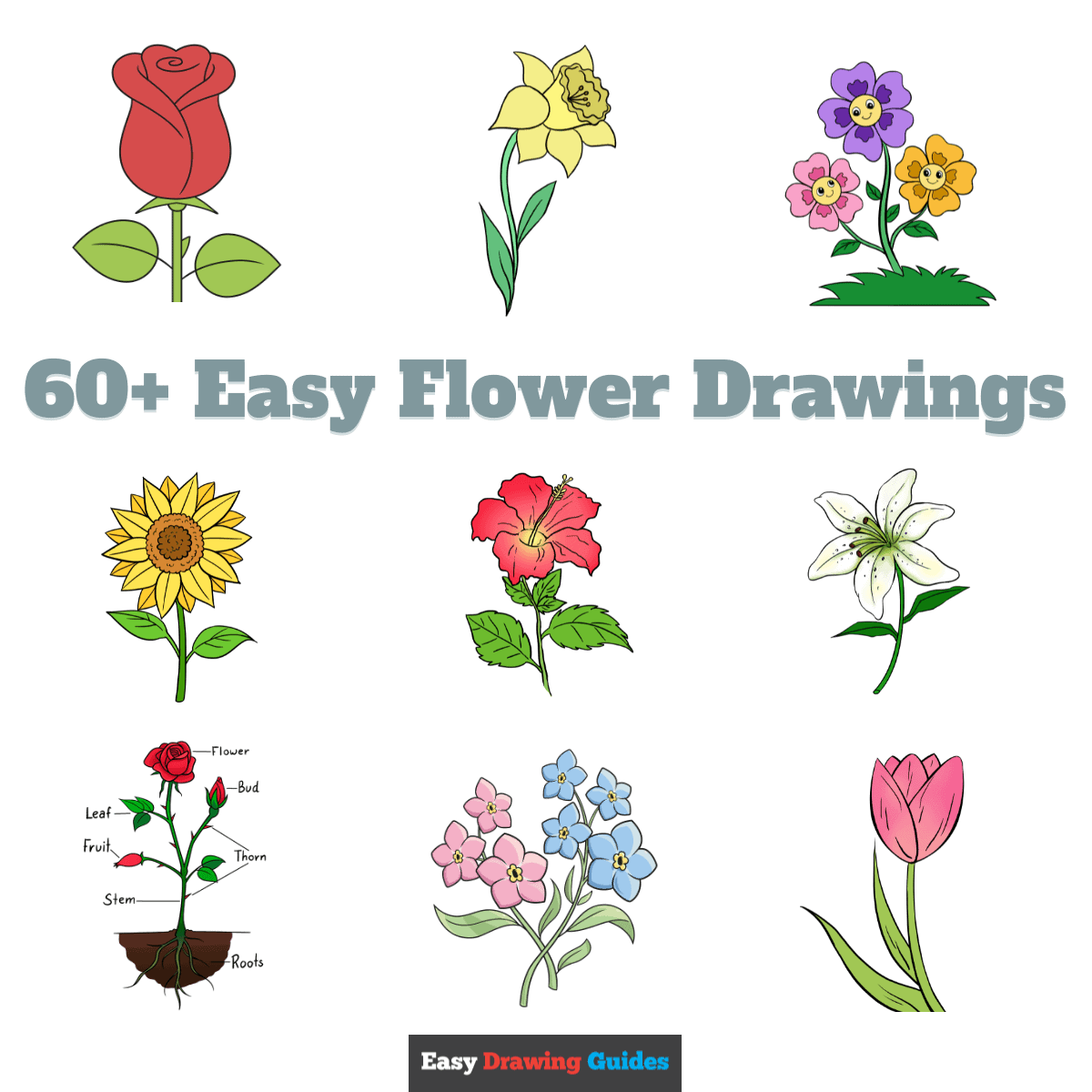 flowers drawings easy