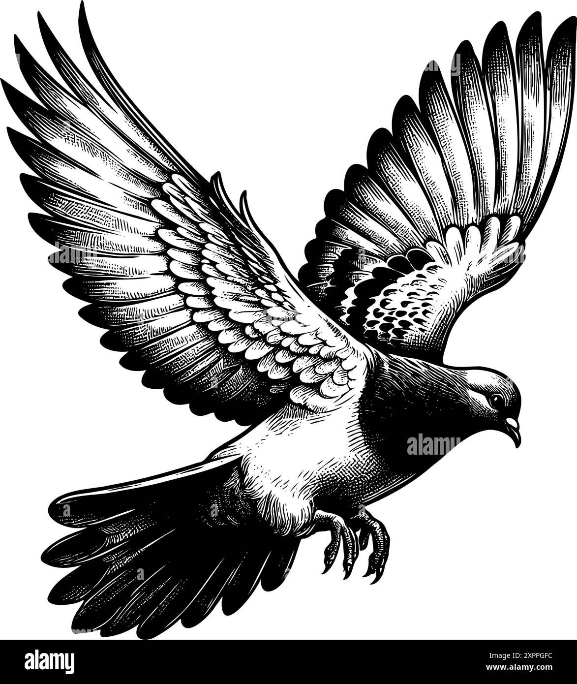 A Black And White Drawing Of A Bird With Its Wings Spread Out The Bird Is Flying High In The Sky And Its Wingspan Is Quite Large Concept Of Freedom And Grace