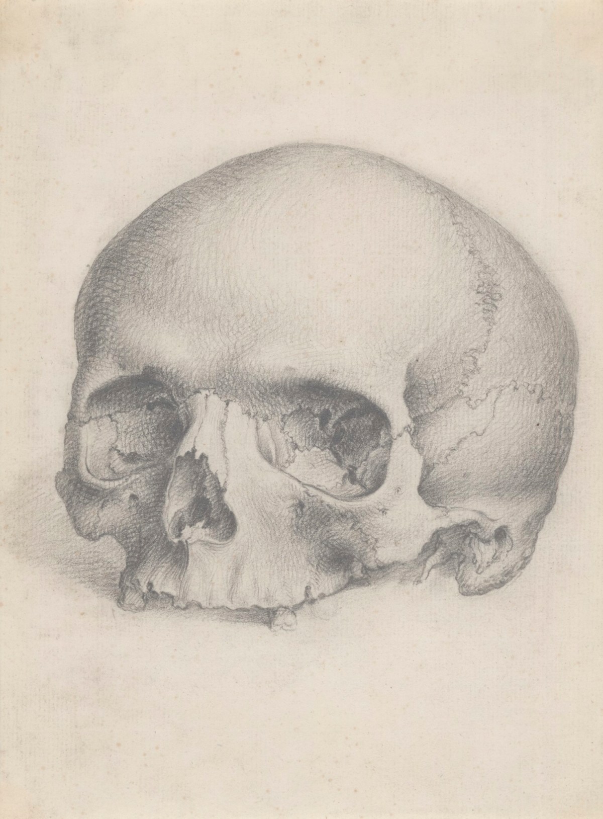 A Human Skull Viewed From The Front For Cheselden s Osteographia 