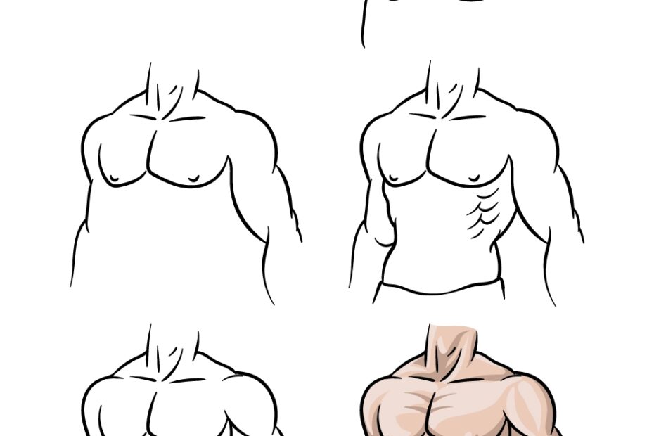 Abs Drawing How To Draw Abs Step By Step