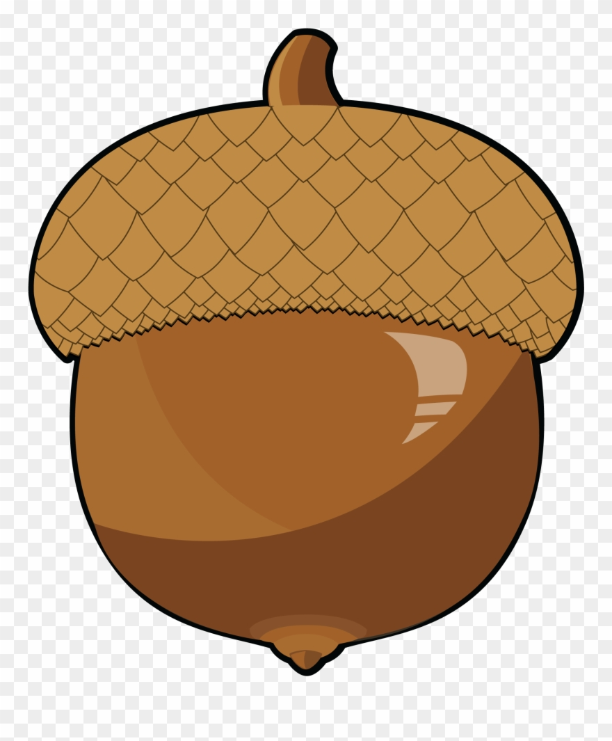 Acorn Clip Art Free Downloadable Images And Illustrations