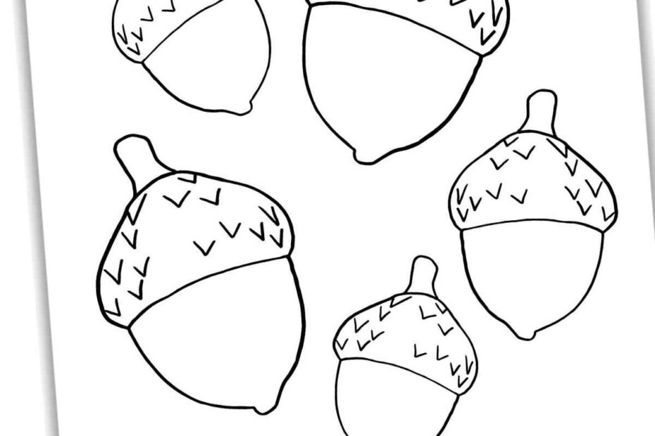 Acorn Coloring Pages Nature Inspired Learning