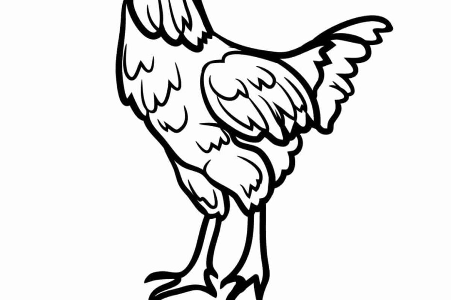 Adorable Chicken Coloring Pages Nature Inspired Learning