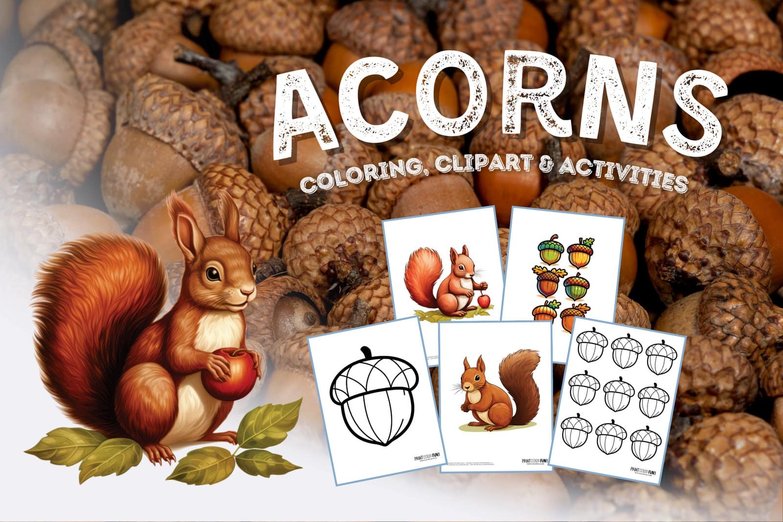 All About Oak Trees Nature Education For Kids