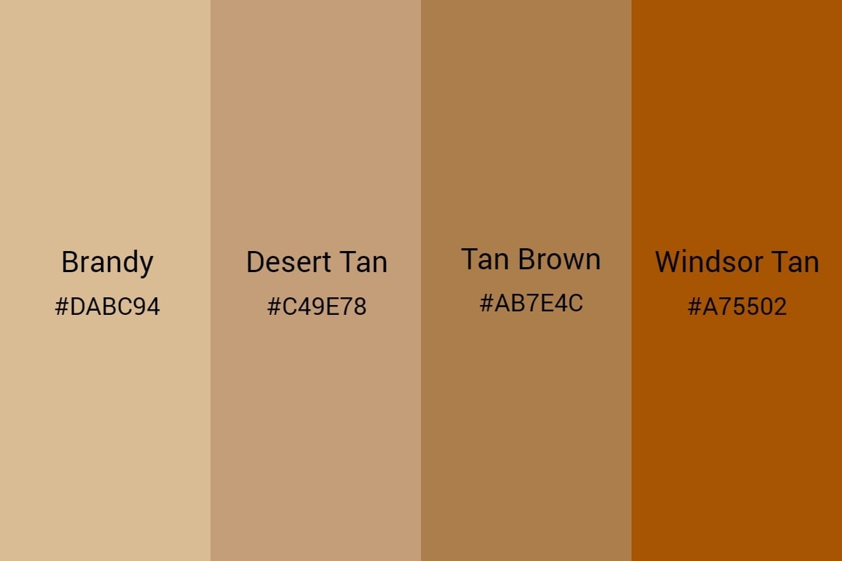 All You Need To Know About Tan Color An Ultimate Guide