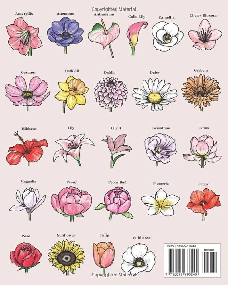 Amazon Step By Step Perspective Flowers A Guide On How To Draw Flowers From Side View Angles 9798879763249 Hall Aska Books