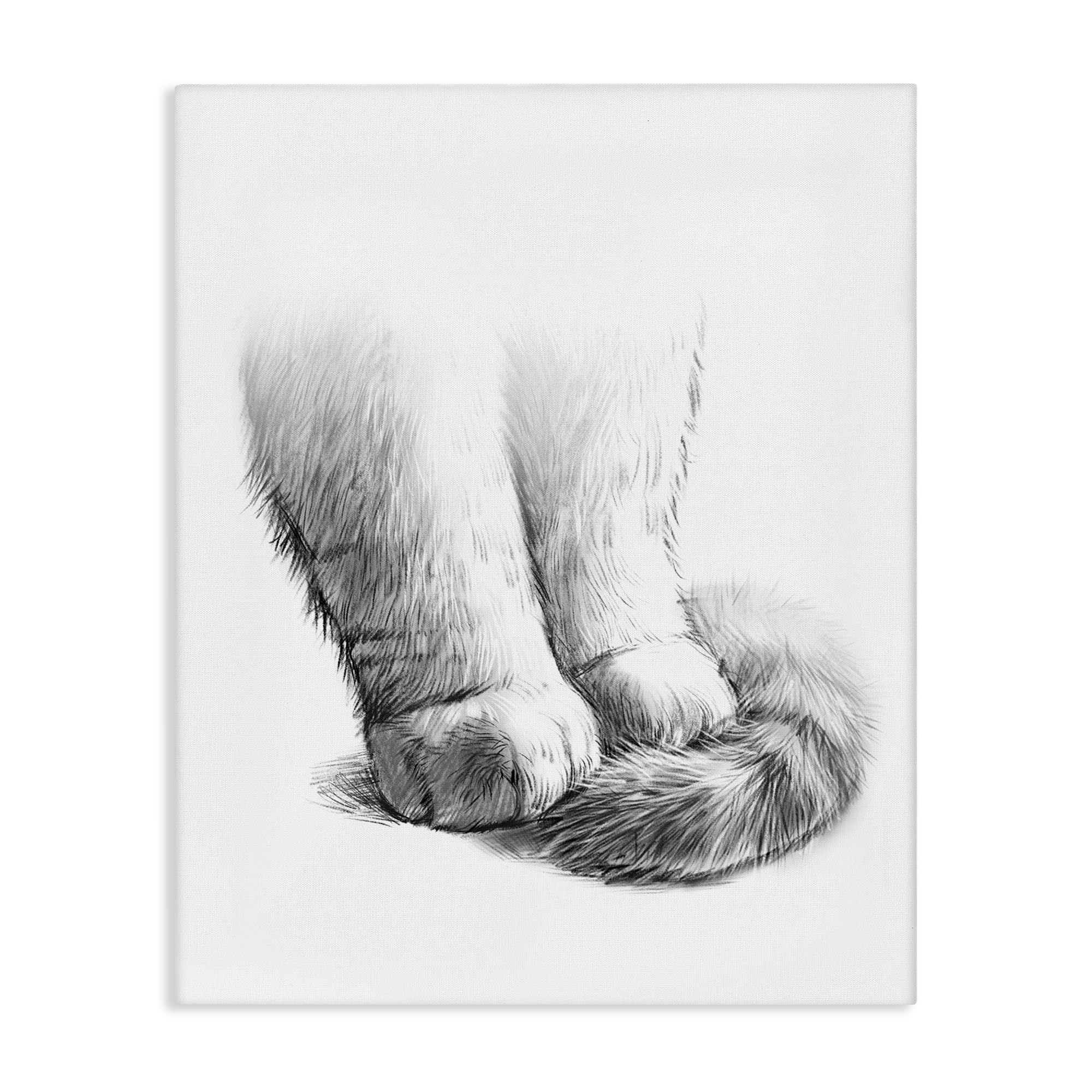 Amazon Stupell Industries Fluffy Cat Paws Tail Curled Monochrome Drawing Design By Ziwei Li White Pet Supplies