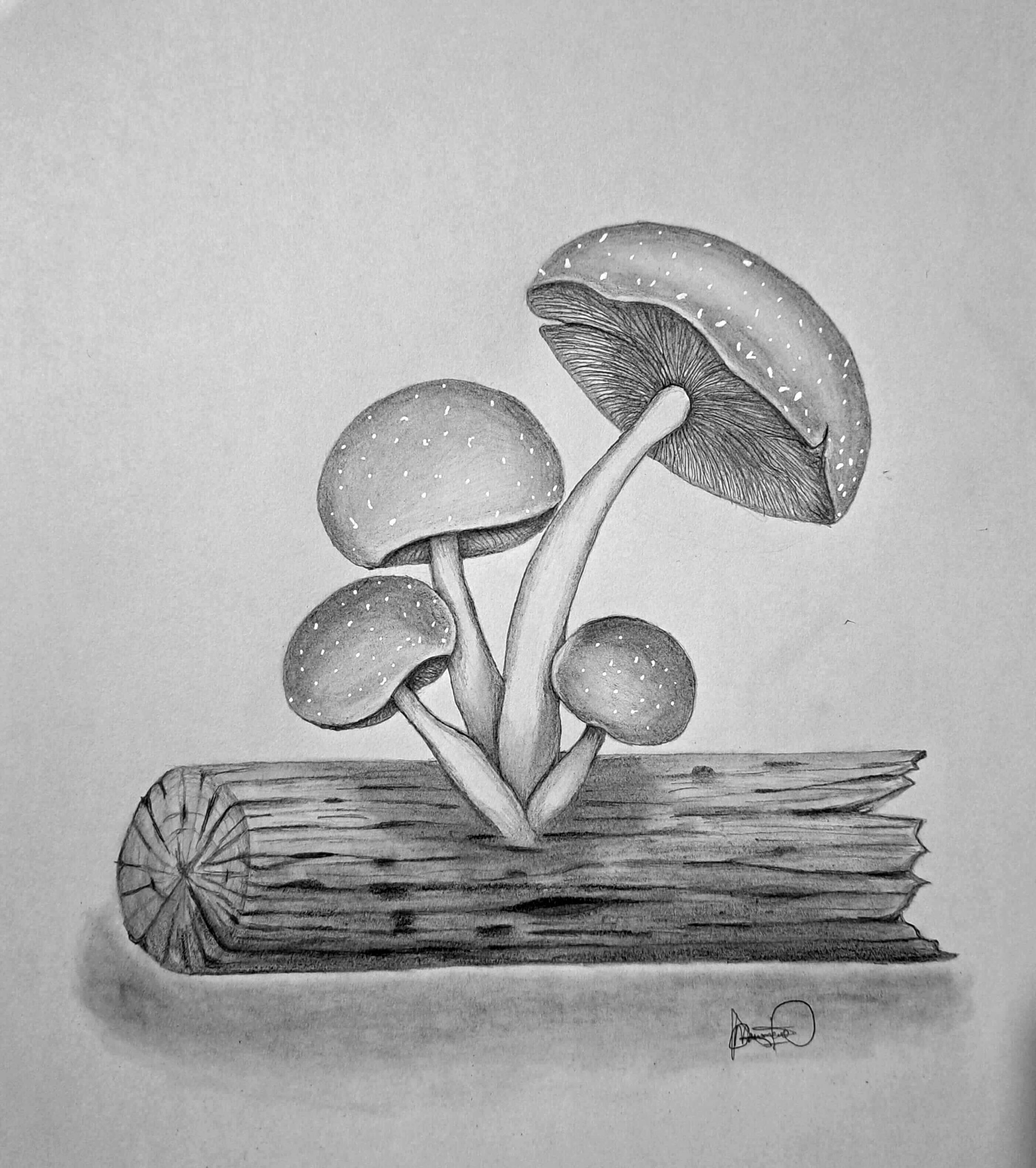 An Easy Guide On How To Draw Mushrooms Muus Art