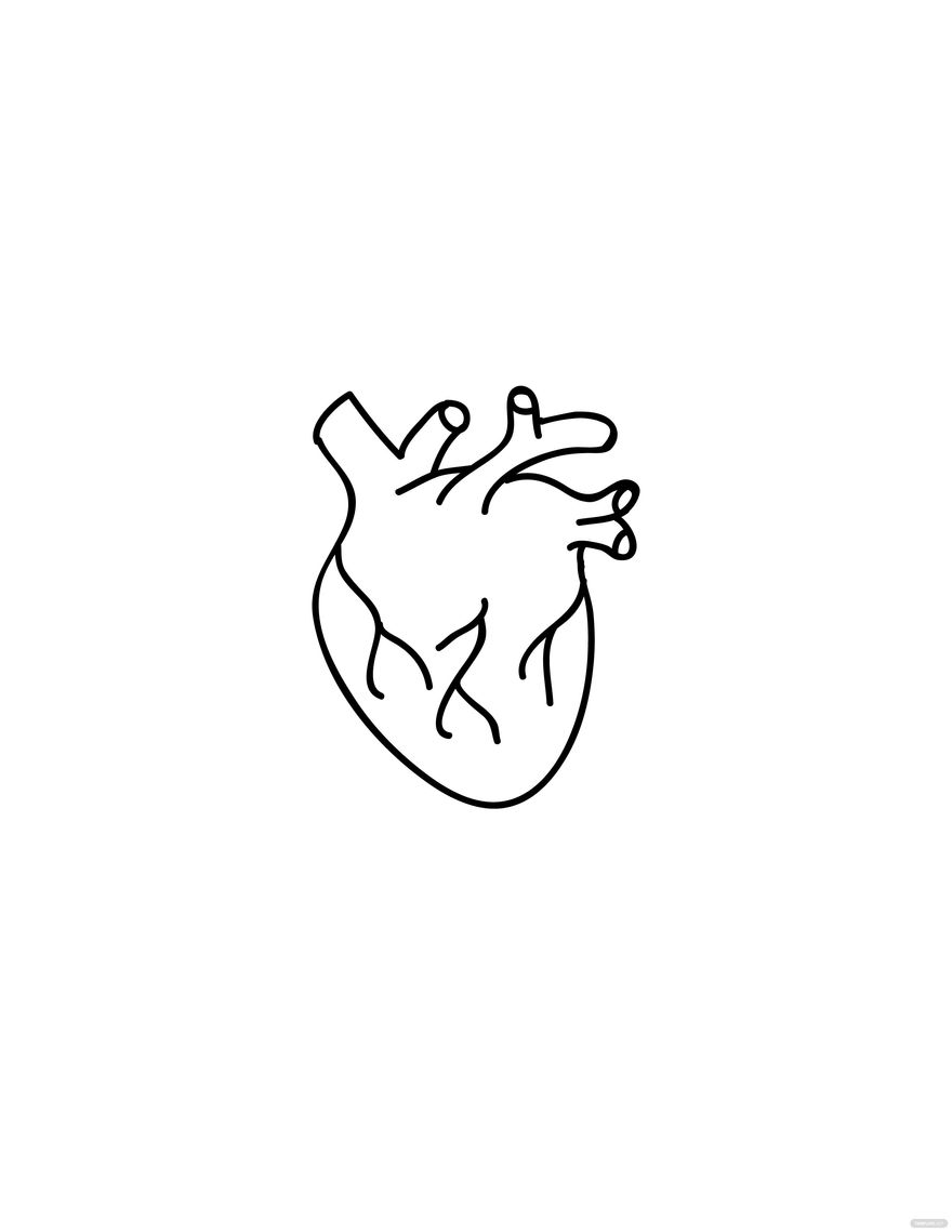 Anatomical Heart Drawing Easy In Illustrator PDF JPG EPS SVG PNG Download Template