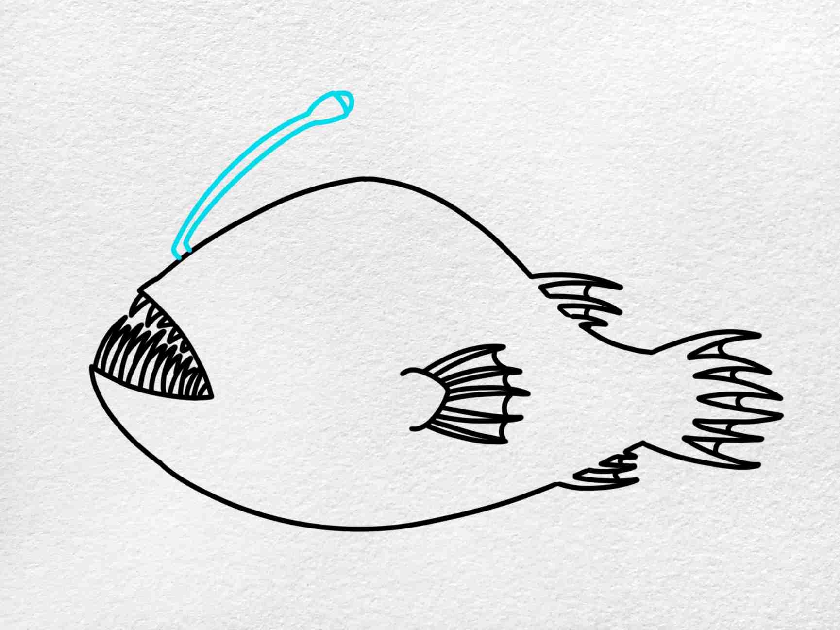 angler fish drawing