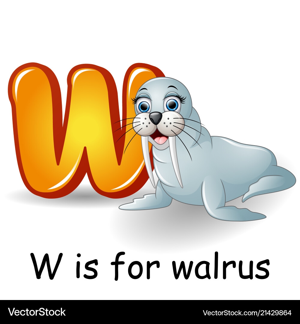 Animals Alphabet W Is For Walrus Royalty Free Vector Image