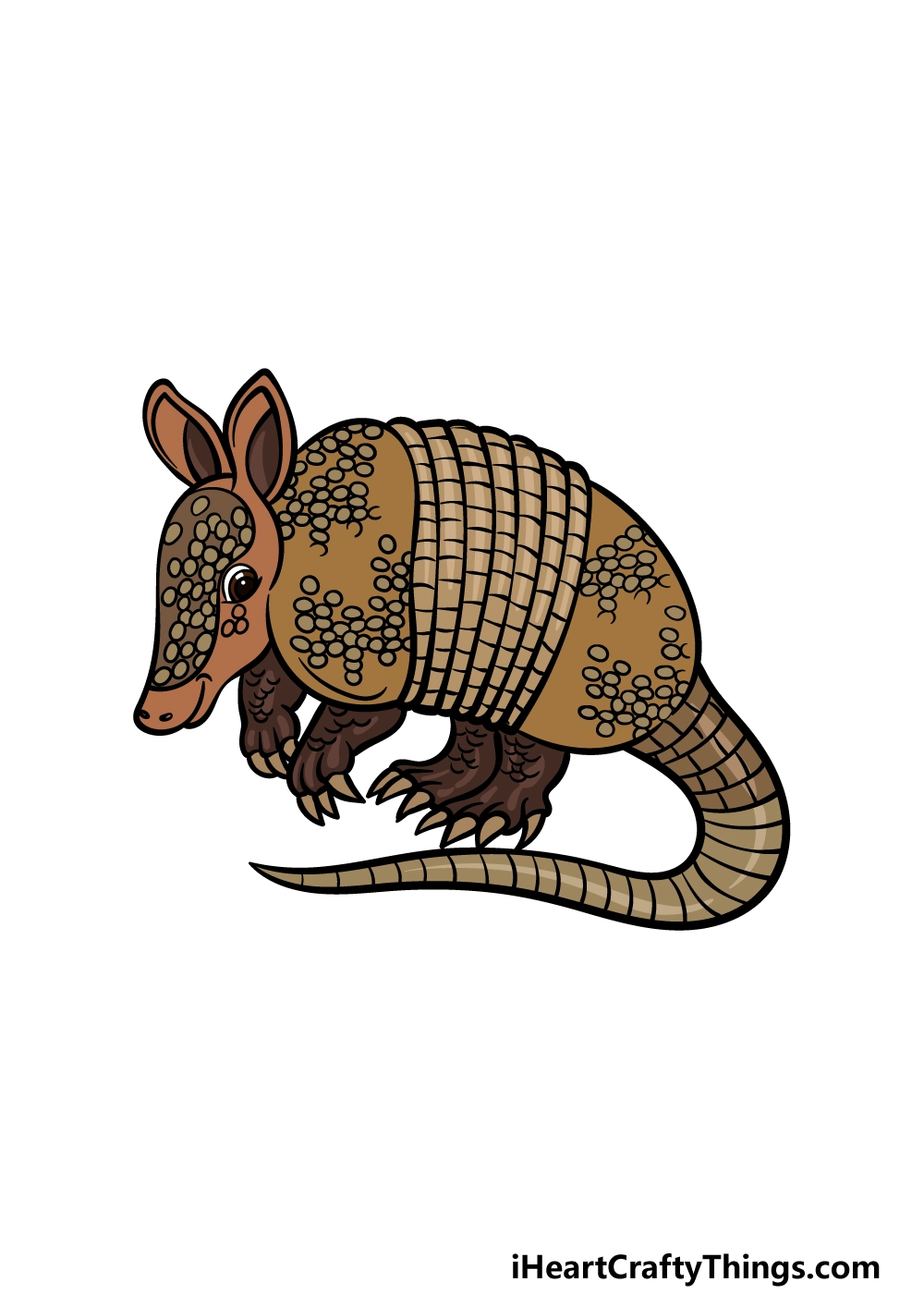 Armadillo Drawing How To Draw An Armadillo Step By Step