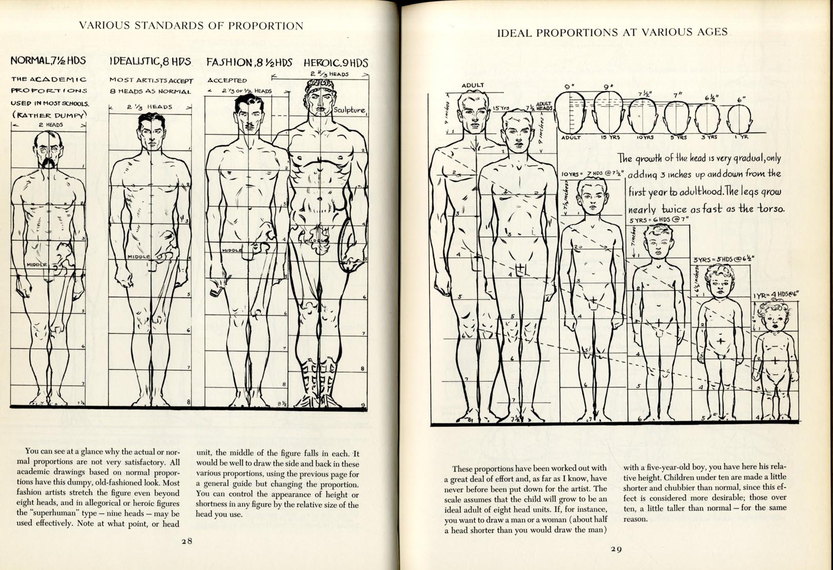 Artists Manuals Andrew Loomis Figure Drawing For All It s Worth 1949