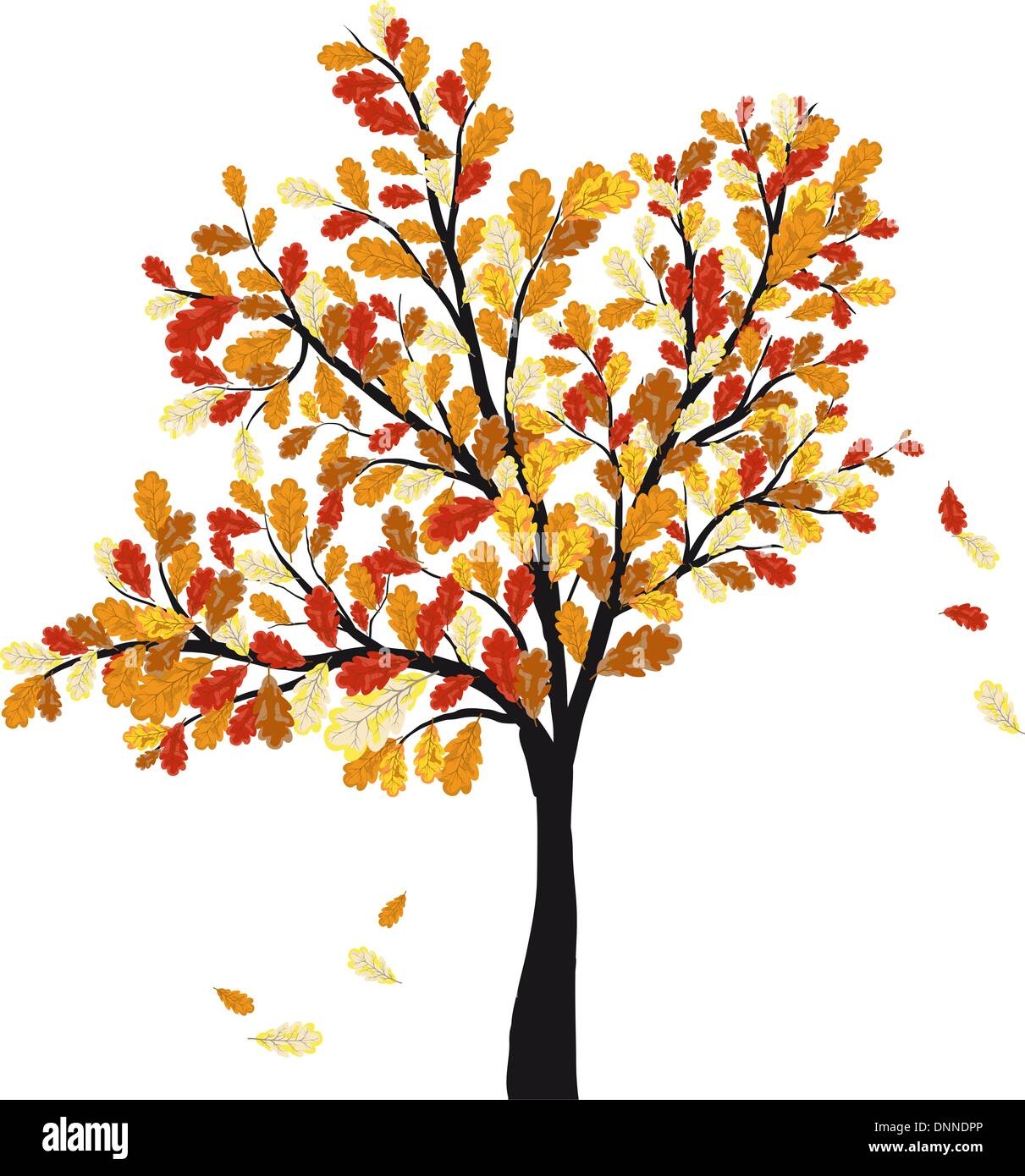 Autumn Oak Tree With Falling Leaves Vector Illustration Stock 