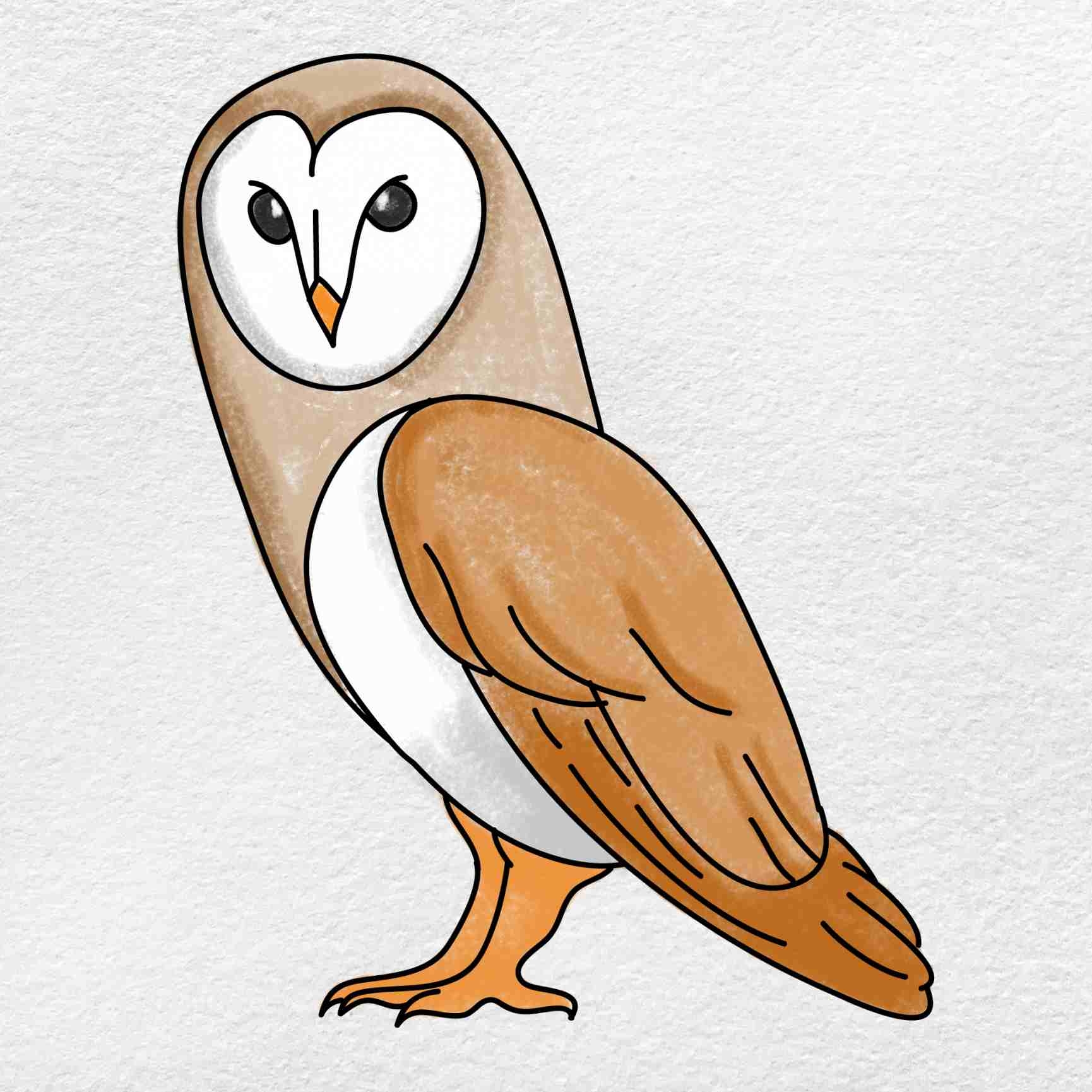 owl drawings easy