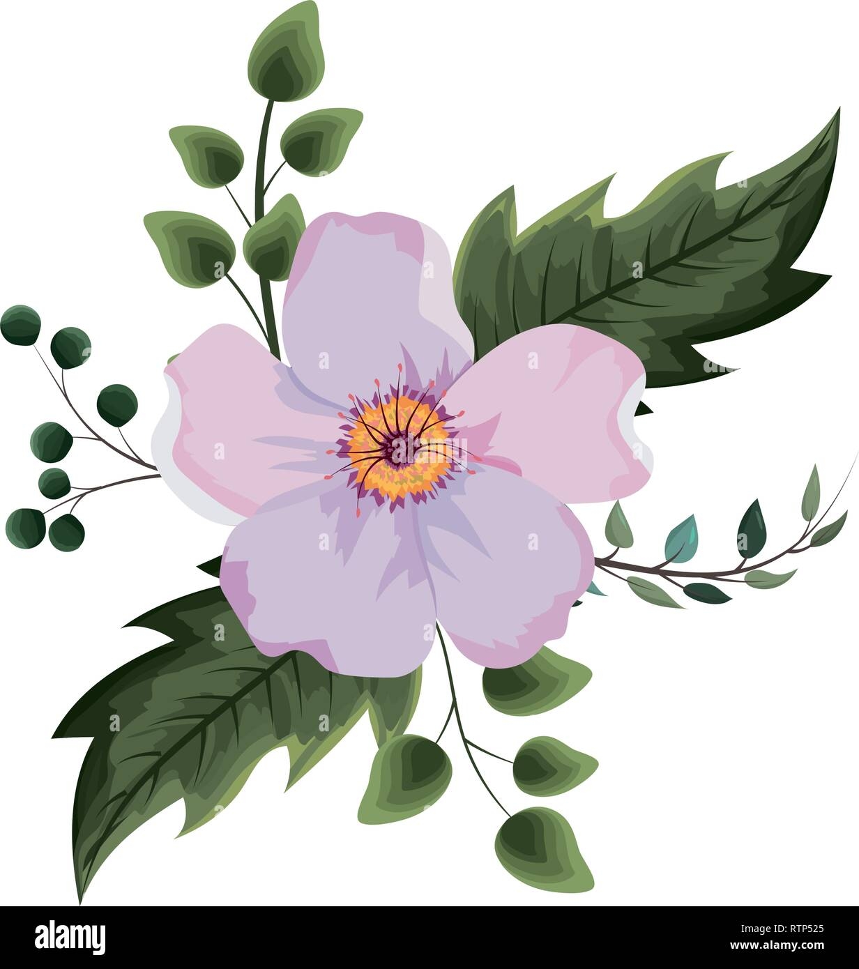 beautiful flower for drawing