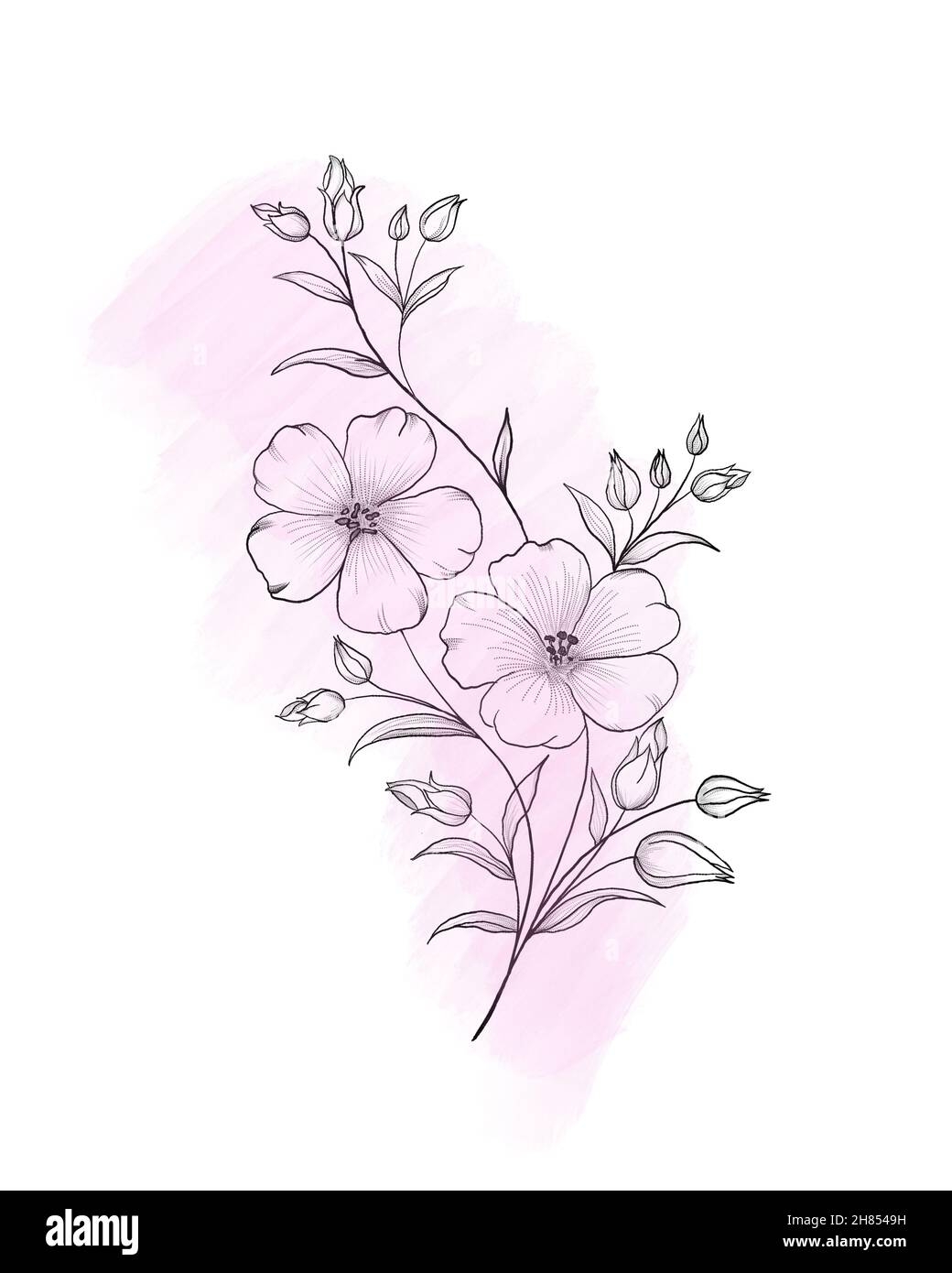 Beautiful Sketch Of A Tattoo A Delicate Twig With Flowers 