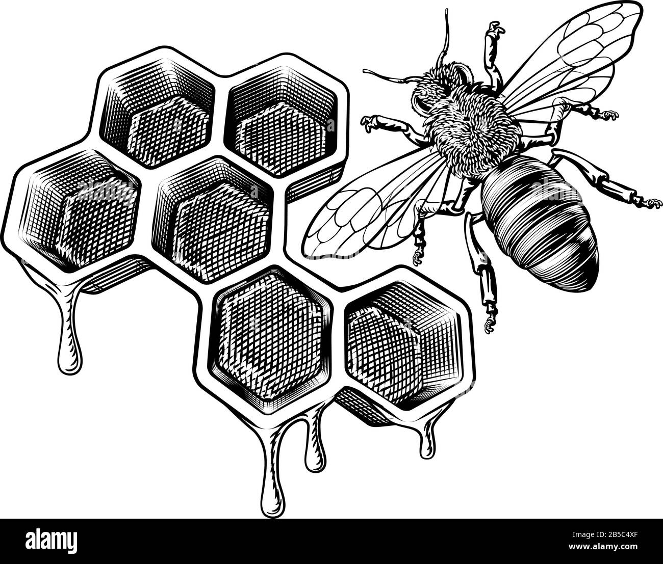 Bee Hive Drawing Cut Out Stock Images U0026 Pictures Alamy
