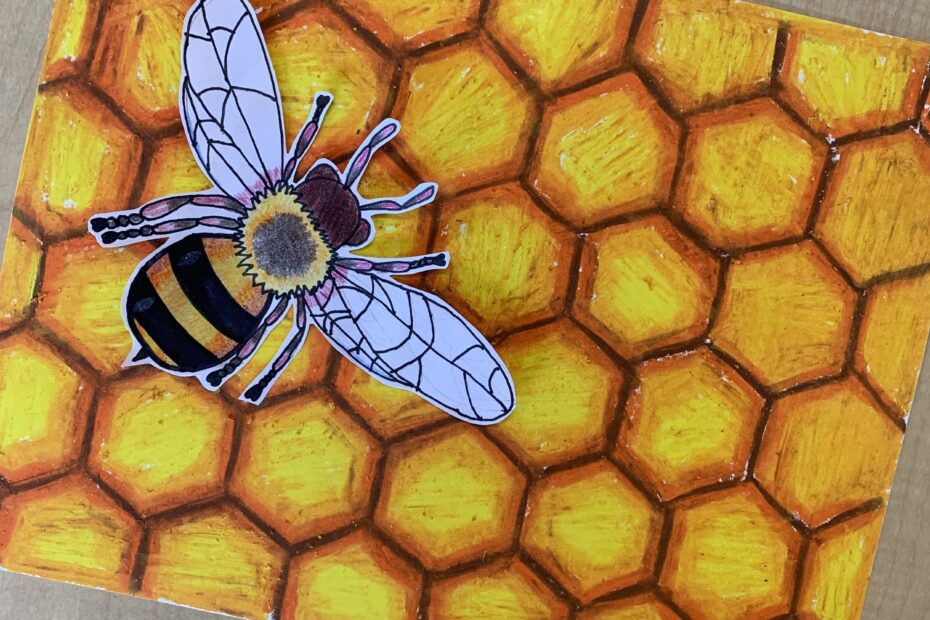 Beehive Art Project Mme Marissa