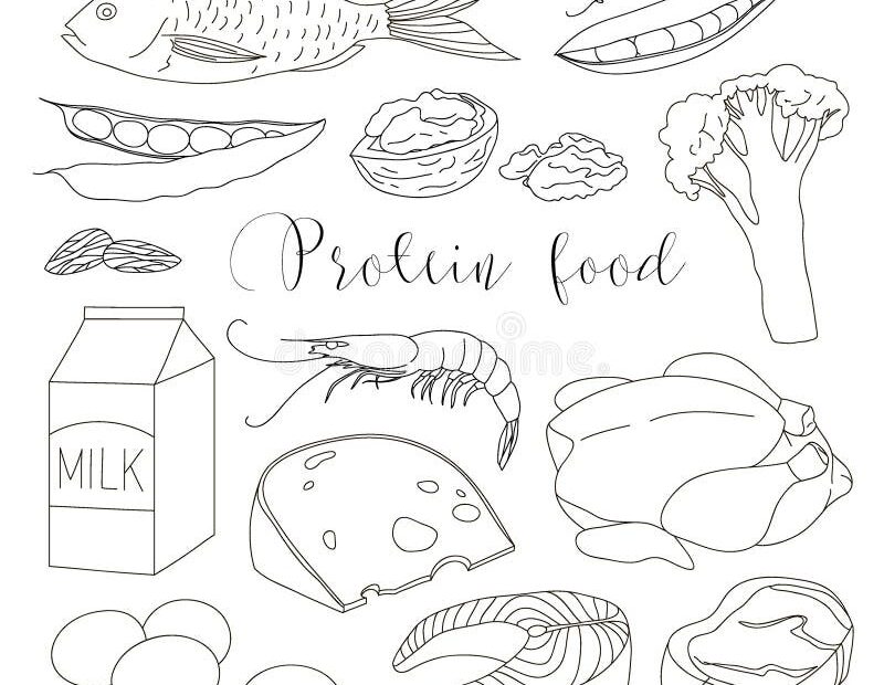 Best Protein Food Icons Stock Vector Illustration Of Drawing