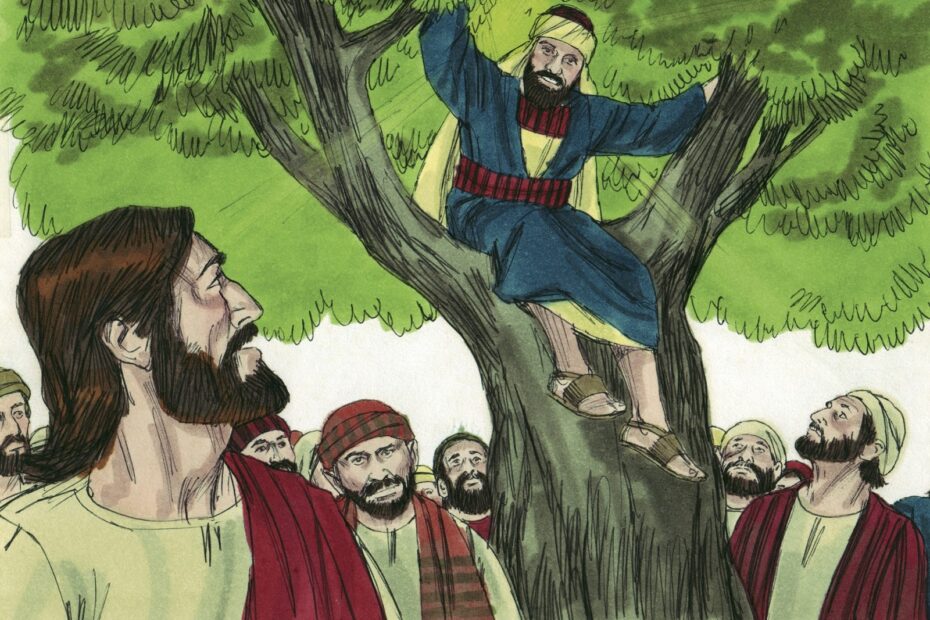 Bible Fun For Kids 4 8 Zacchaeus