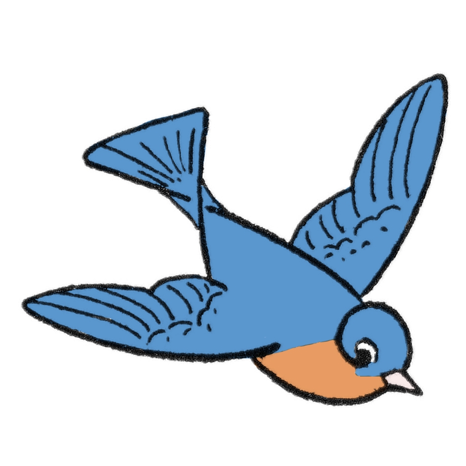Bird Drawing 7 Different Ways The Graphics Fairy