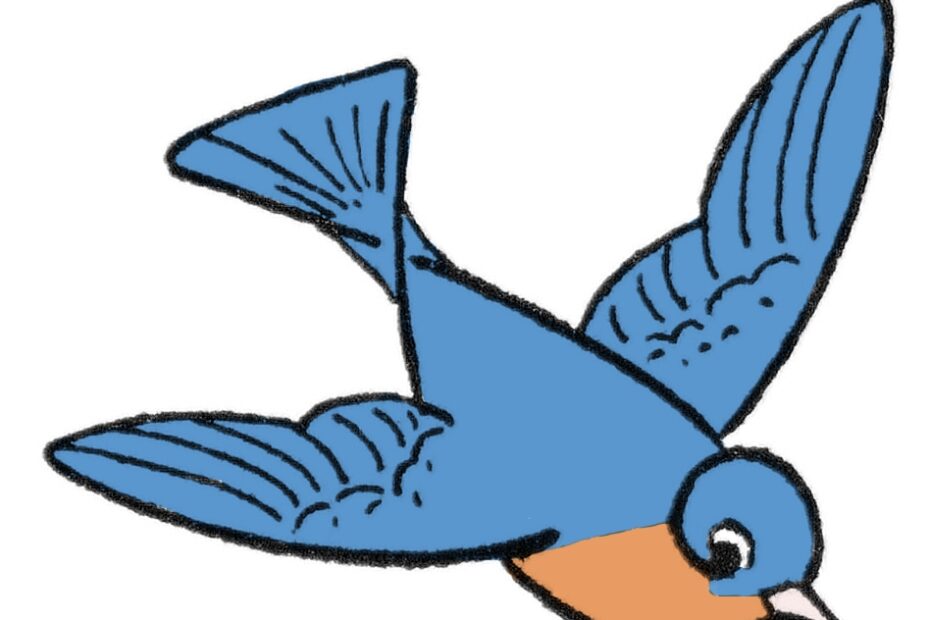 Bird Drawing 7 Different Ways The Graphics Fairy