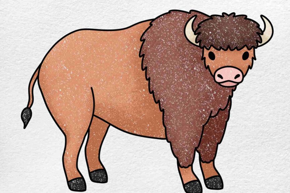 Bison Drawing HelloArtsy