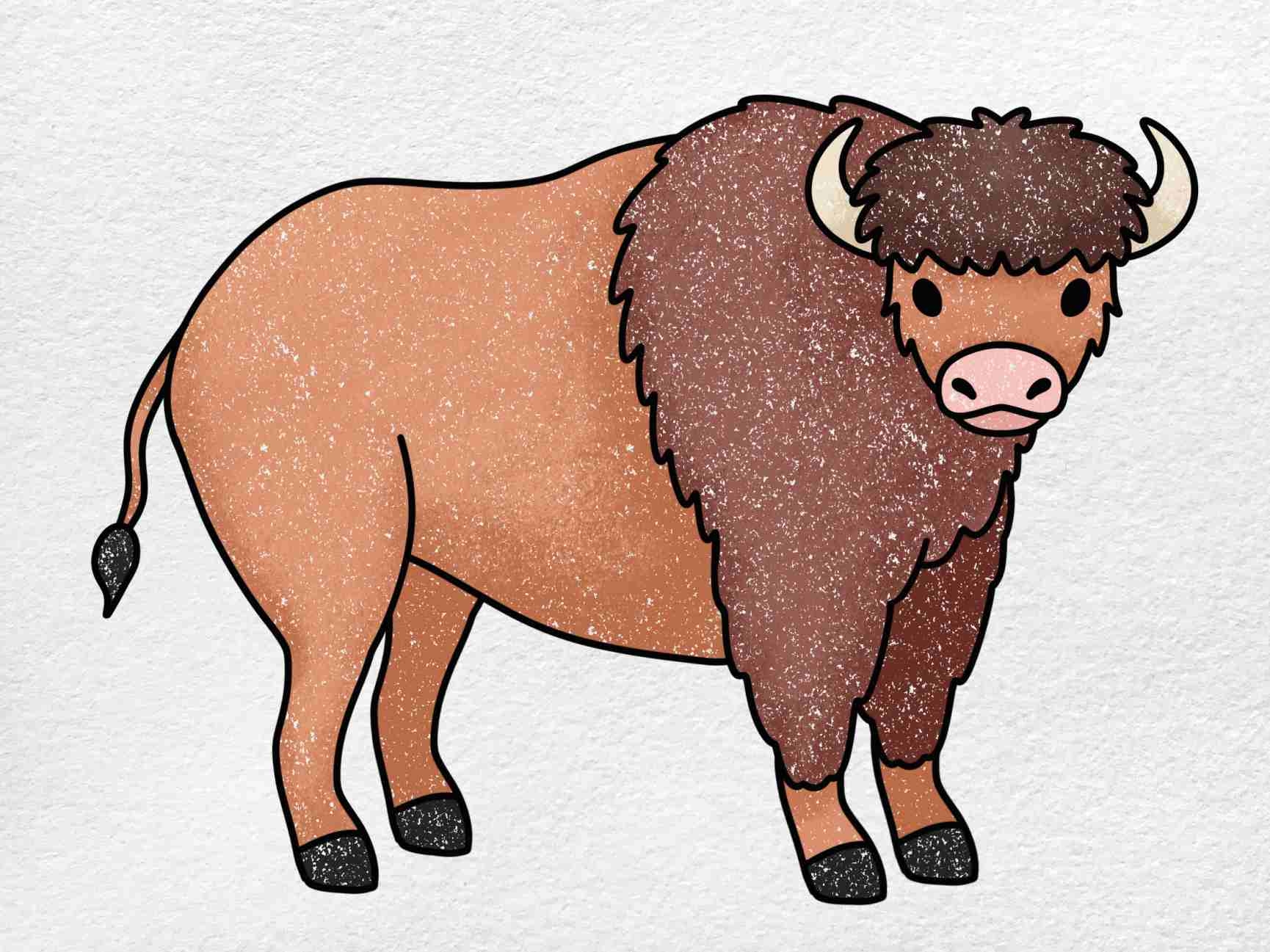 Bison Drawing HelloArtsy