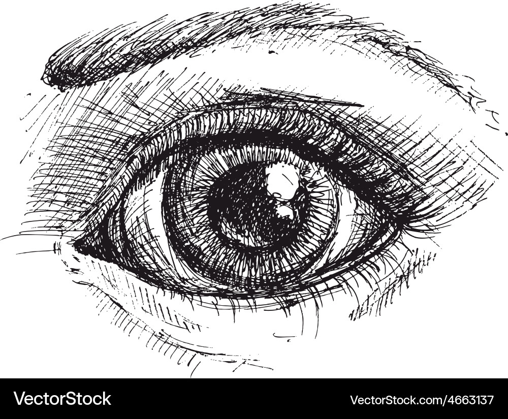 Black And White Eye Sketch Royalty Free Vector Image