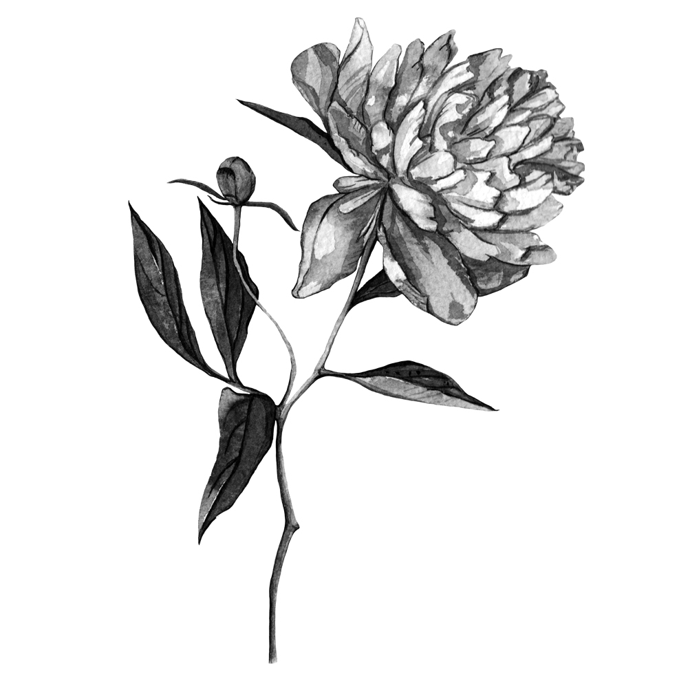 Black And White Flower Painting Series Anna Farba Freelance 