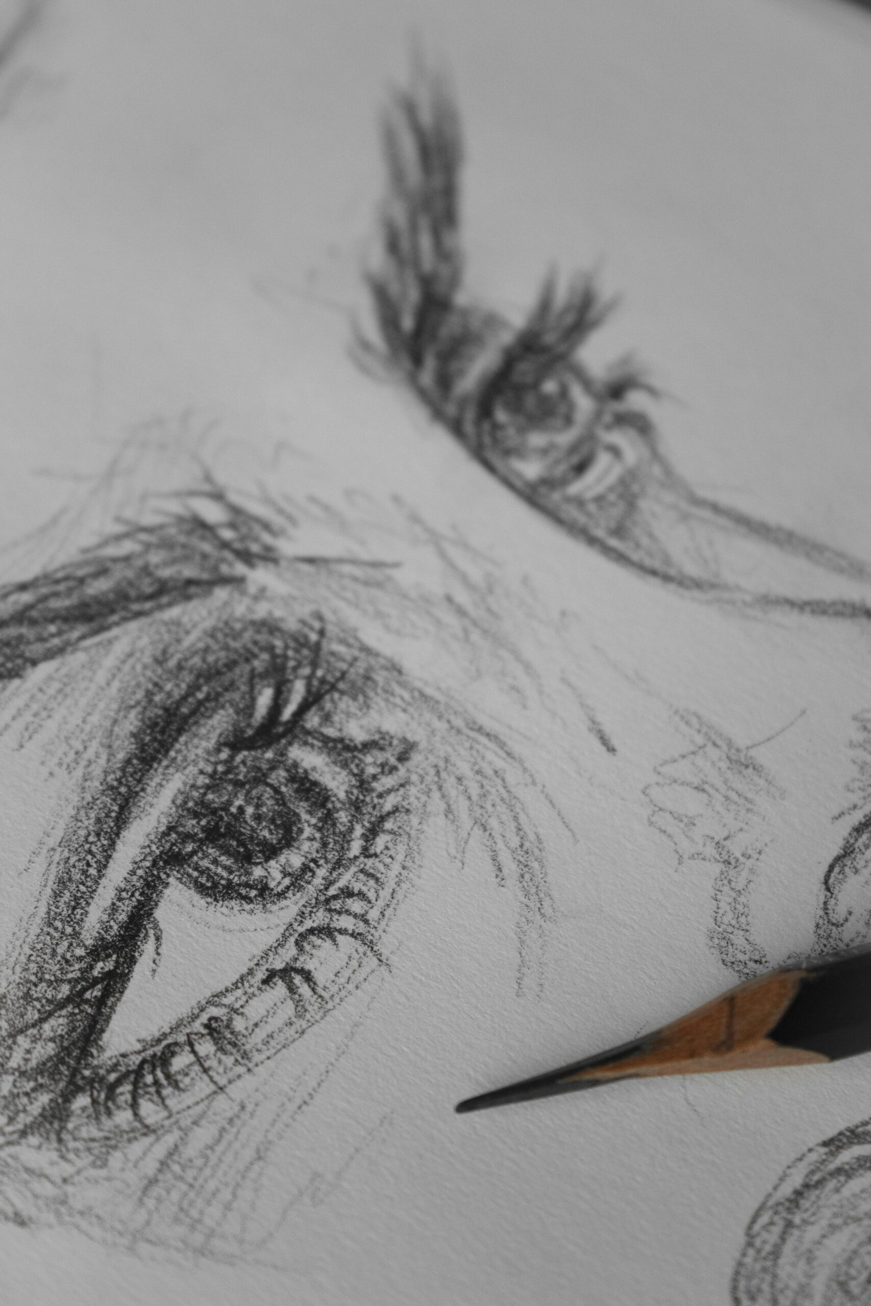 Black And White Human Eye Sketch Free Stock Photo
