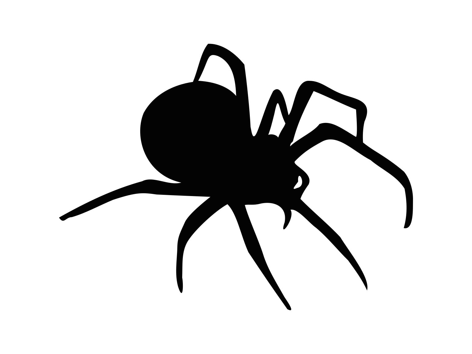 free printable spider pictures